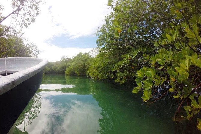 Full-Day Tour to Punta Rucia and Cayo Arena with Snorkeling - Cayo Arena (Paradise Island): snorkel time, beach time, and refreshments