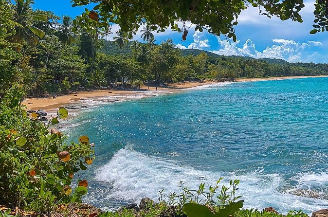 Full Day Tour to the Blue Lagoon and 7 Different Destinations - Playa Caleton: A Cozy Crescent Cove and Taino Carvings
