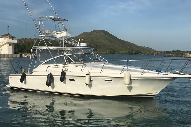 Half Day Big Game Fishing private charter - From pickup to trolling: what the half-day trip really feels like