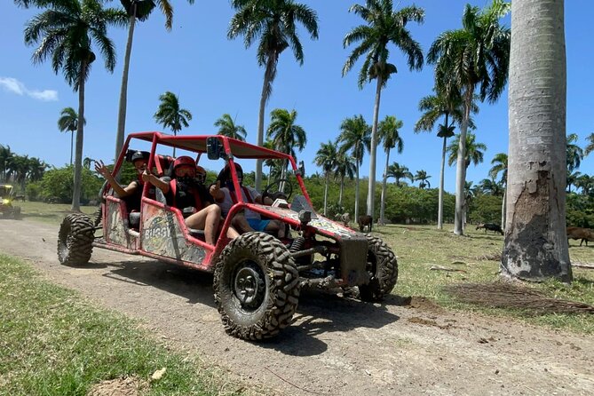 Half-Day Buggy Guided Adventure for Amber Cove and Taino Bay - Stop for Dominican flavor: cigar rolling shack, cocoa, and coffee