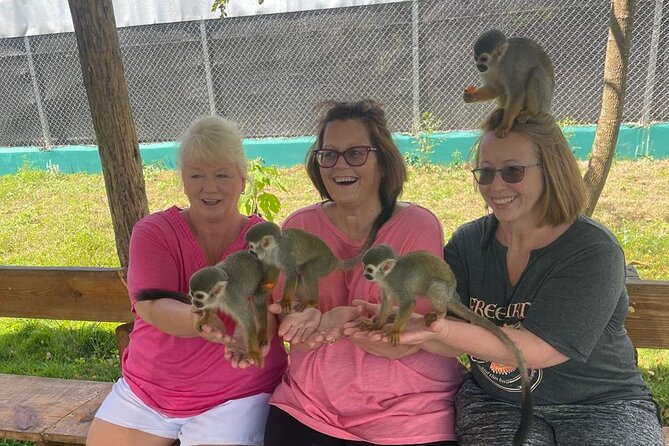 Half Day Puerto Plata City Tour and Monkey Home Visit - Key Highlights You’ll Actually Care About