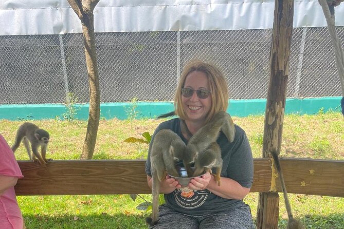 Half Day Puerto Plata City Tour and Monkey Home Visit - Stop 4: Del Oro Chocolate Factory in About 30 Minutes
