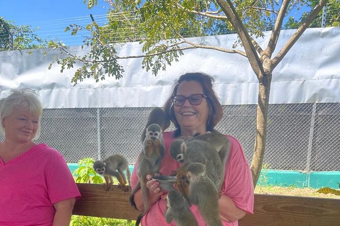 Half Day Puerto Plata City Tour and Monkey Home Visit - Stop 5: Puerto Plata (Upper Area Views)