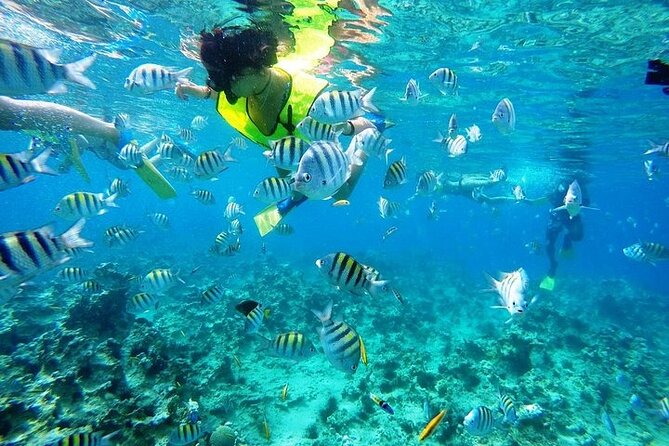 Half Day Sosua Sunset Cruise with Snorkeling - Stop #2: Three Rocks (Los Cabezos) and why people go there