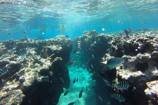 Half Day Sosua Sunset Cruise with Snorkeling - Who this sunset snorkeling cruise fits best