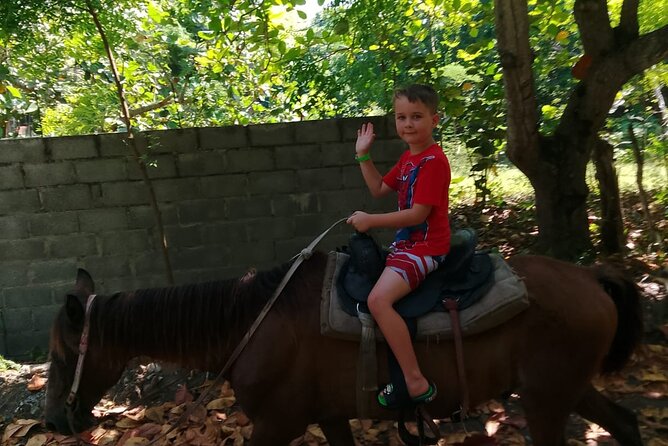 Horseback Riding in the Dominican Countryside from Puerto Plata - Pickup from Puerto Plata: when the day starts moving