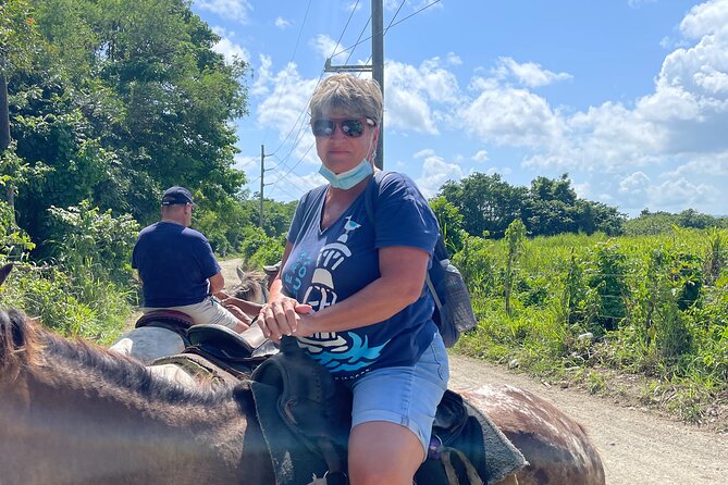 Horseback riding tours from amber cove & Taino bay port silver - The Horses: What “Well-Cared-For” Really Means for You