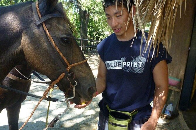 Horseback riding tours from amber cove & Taino bay port silver - What You Actually Get for $95