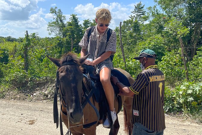 Horseback riding tours from amber cove & Taino bay port silver - Price and Value: Is This a Good Deal?