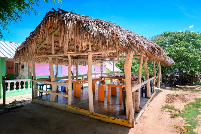 Immerse in Dominican Culture: Private Community Tour - How This 6-Hour Puerto Plata Tour Really Plays Out