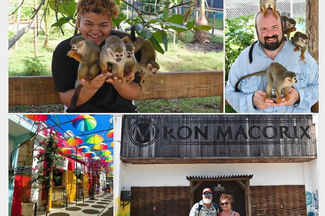 Interaction with Monkey Tour & city tour in Puerto Plata - Key highlights you’ll care about