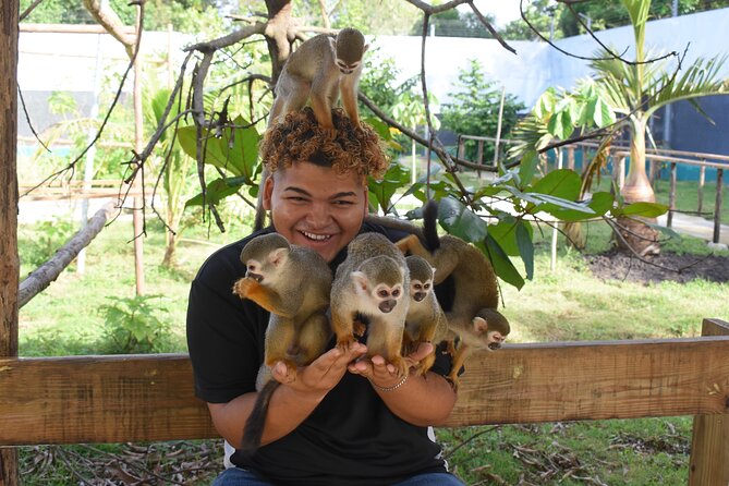 Interaction with Monkey Tour & city tour in Puerto Plata - Umbrella Street and cigars: coffee, rolling, and smelling the air