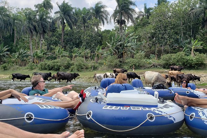 Lazy River Tubing Cabarete, Dominican Republic - The Dominican Lunch and Open Bar Part You’ll Actually Look Forward To