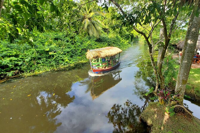 Local Excursion || Jungle Safari Excursion - Key things to know before you go