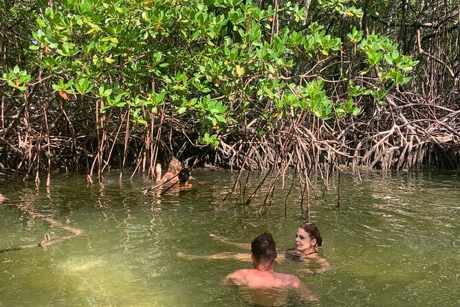 Local Excursion | Paradise Island Punto Rucia & snorkeling - The reef and fish-feeding part: why Cayo Arena snorkeling feels special