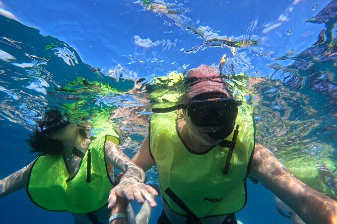 Local Excursion | Paradise Island Punto Rucia & snorkeling - Mangrove Lagoon and Monte Cristi: the return route that adds variety