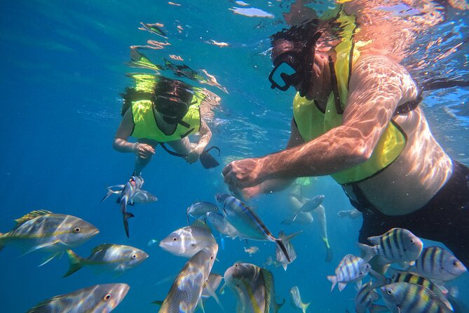 Local Excursion | Paradise Island Punto Rucia & snorkeling - Service you can actually feel: Tony and the communication factor