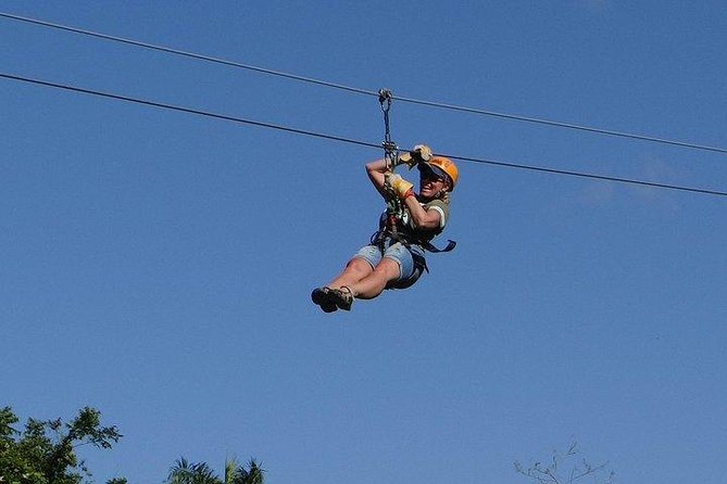Mega Adrenaline - What You’re Really Doing: Buggy Speed Meets Treetop Ziplines