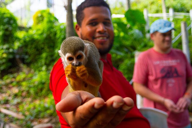Monkey Enconter & Zip line Adventure - Key highlights at a glance