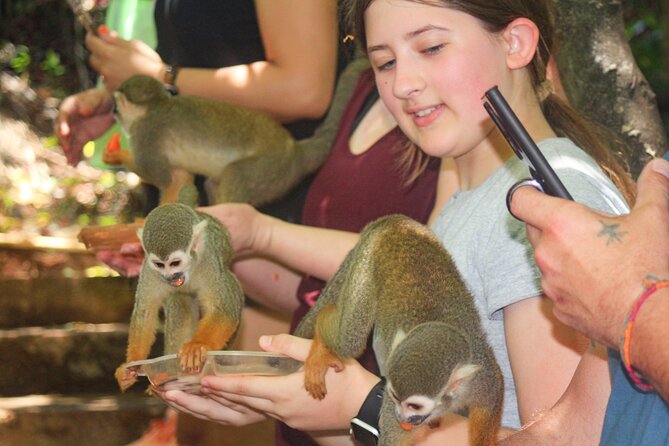 Monkey Enconter & Zip line Adventure - Stop 1 in El Choco: the monkeys-first “grotto” experience