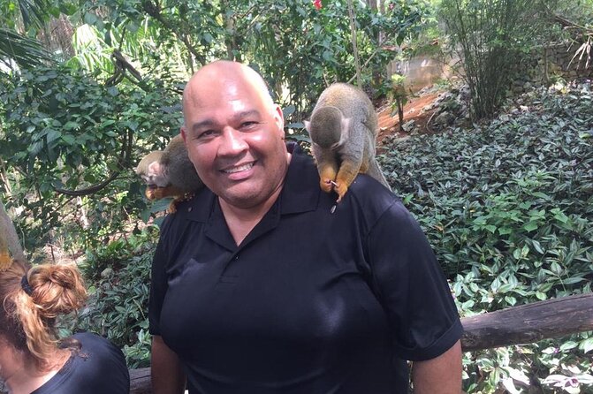 Monkey Jungle with Zip line - Price and value: how $125 adds up when you bundle experiences