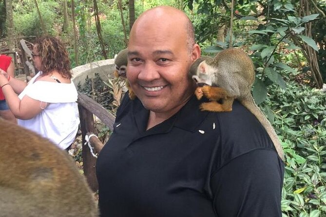 Monkey Jungle with Zip line - What you should be ready for: fitness, outdoors time, and a no-lunch day