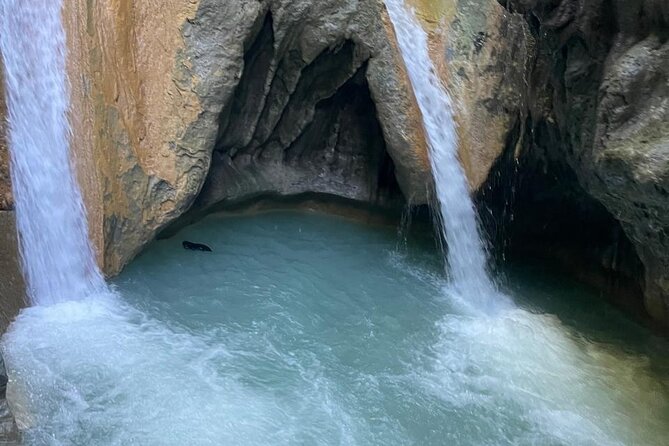 Monkey Tour Interaction and Damajagua waterfalls in Puerto Plata. - Key things I’d clock before you go