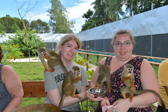 Monkey Tour Interaction and Damajagua waterfalls in Puerto Plata. - Monkey Home fruit-feeding: cute wildlife time with real rules