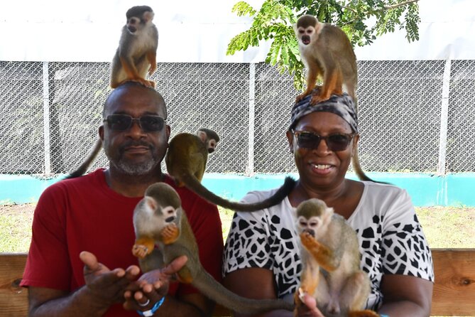 Monkey Tour Interaction and Damajagua waterfalls in Puerto Plata. - Clothes, gear, and what to do about the photographer
