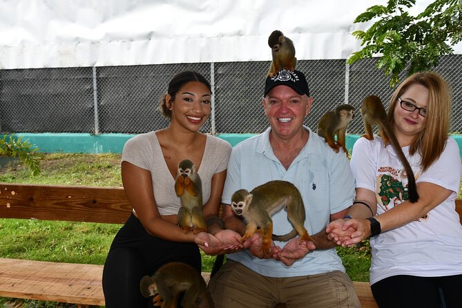 Monkey Tour Interaction and Damajagua waterfalls in Puerto Plata. - Who should book this tour, and who should think twice