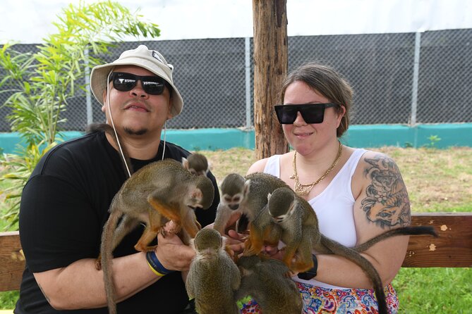 Monkey Tour Interaction and Damajagua waterfalls in Puerto Plata. - Should you book Monkey Home and Damajagua?