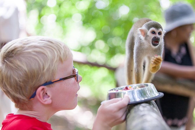 Monkeyland and Zipline Adventure from Puerto Plata - Zip line training, 7 lines, and 2 suspension bridges