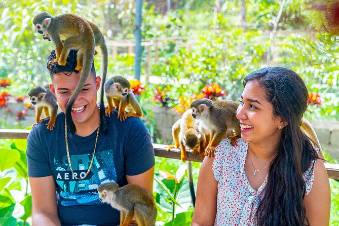 Monkeyland Puerto Plata - Monkeyland: Fruit Feeding, Close-Up Monkey Chaos, and Photo Reality