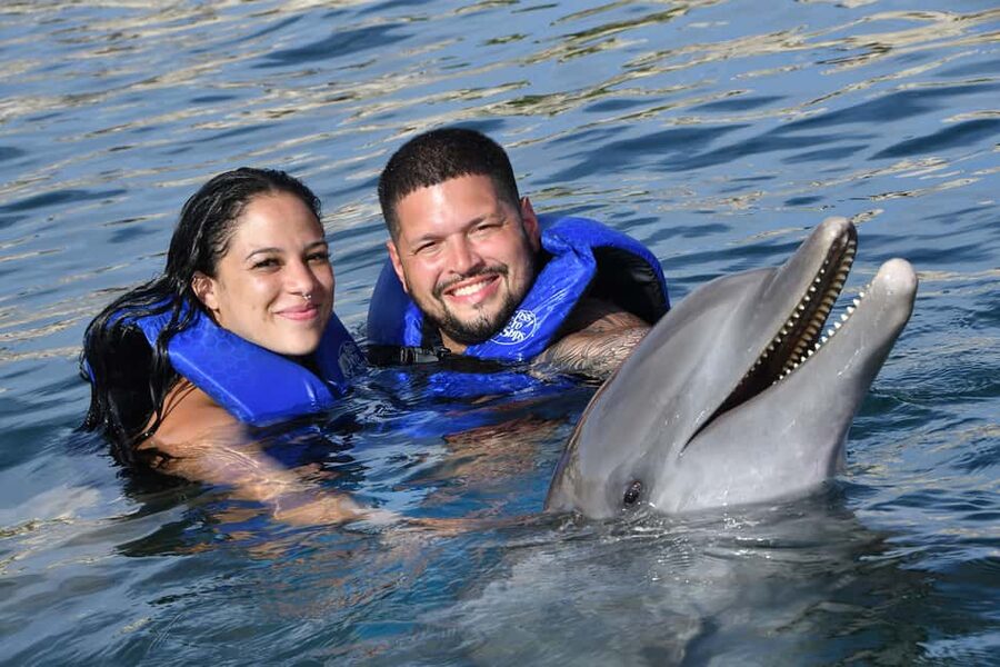 Ocean World Dolphin Swim & Sea Lion Combo from Puerto Plata - Key things to know before you go
