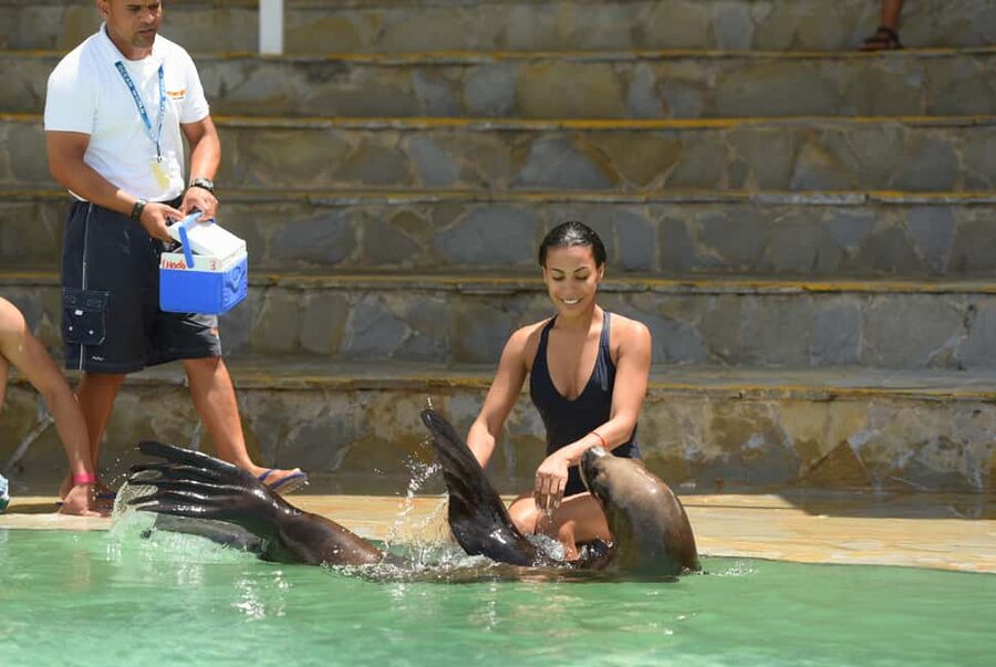 Ocean World Dolphin Swim & Sea Lion Combo from Puerto Plata - First, the math: what this Puerto Plata dolphin-and-sea-lion day costs (and what you’re really paying for)