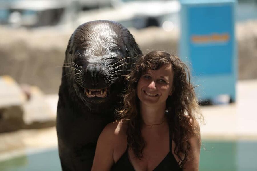Ocean World Dolphin Swim & Sea Lion Combo from Puerto Plata - Dolphin swim: orientation, face-to-face training, and 30 minutes you’ll remember