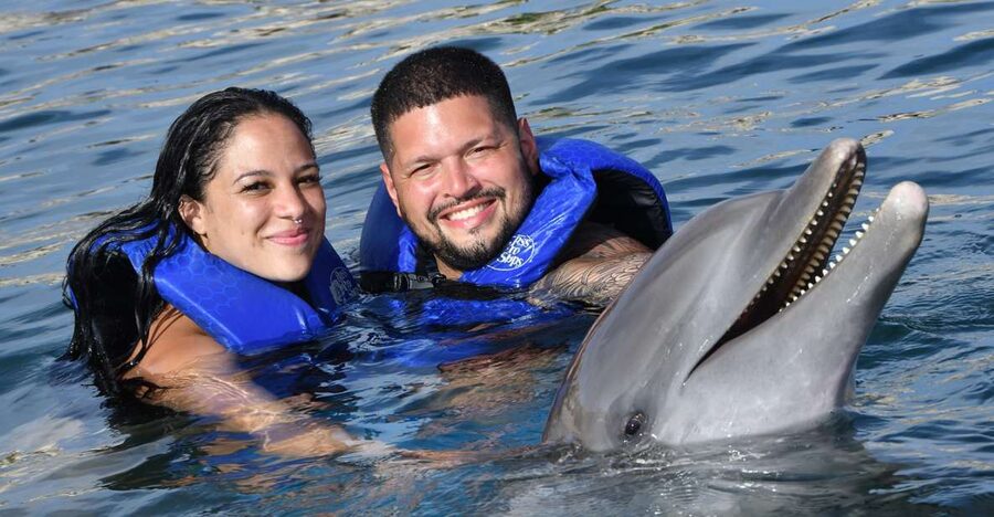 Ocean World Dolphin Swim & Sea Lion Combo from Puerto Plata - Lunch, drinks, and what to bring so the day stays easy