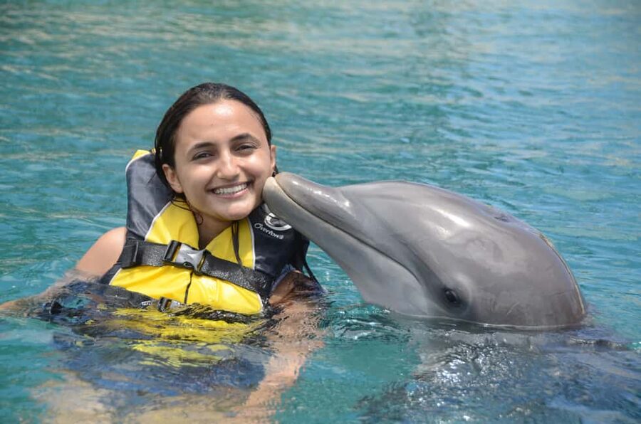 Ocean World Dolphin Swim & Sea Lion Combo from Puerto Plata - The day’s flow from Puerto Plata to Cofresi Beach (and why timing matters)