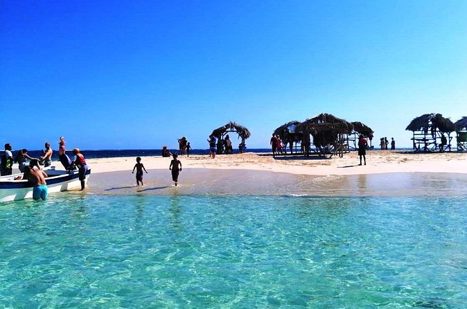 Paradise Island & Mangroves Tour - The Mangroves Speedboat Ride: Nature Lessons With Time to Feel It