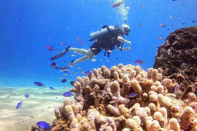 paradise island ( punta rucia) - Snorkeling with provided gear, plus beach time you can actually control