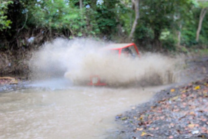 Pop Buggy Excursion from Amber Cove and Taino Bay Puerto Plata - Cultural visit to a typical Dominican house