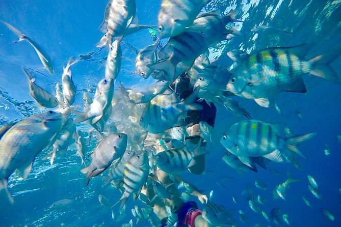 Private all-inclusive snorkeling at sosua beach. - Food and Drinks: The All-Inclusive Part That Makes It a Full Day