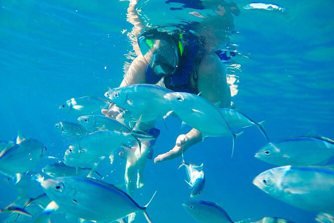 Private all-inclusive snorkeling at sosua beach. - Who This Private Sosua Snorkeling Trip Fits Best