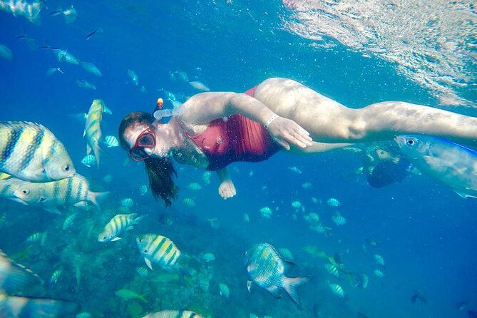 Private all-inclusive snorkeling at sosua beach. - Should You Book This Private All-Inclusive Snorkeling at Sosua Beach?