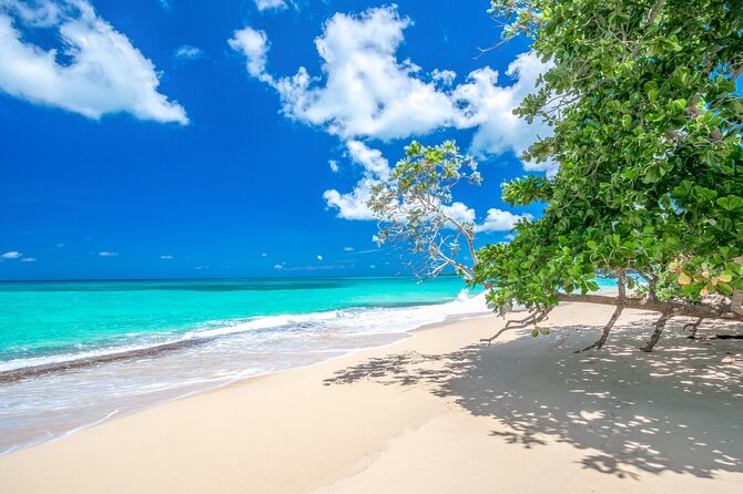 Private Full Day Beach Tour in Puerto Plata - Key highlights at a glance