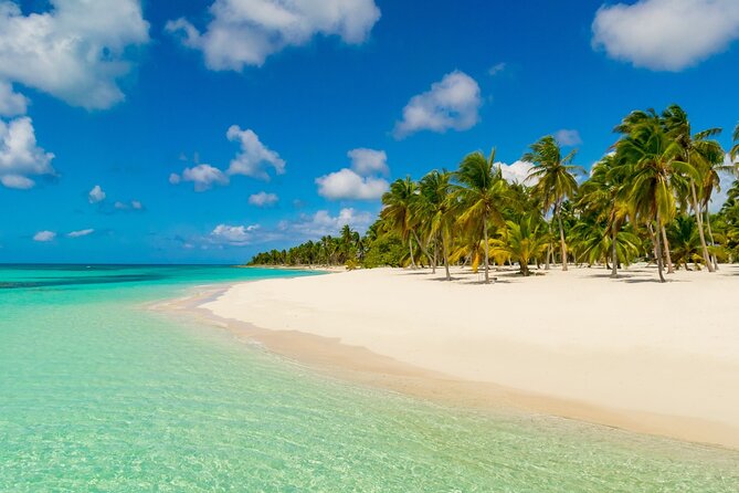 Private Full Day Beach Tour in Puerto Plata - Price and value: what $80 covers and what costs extra
