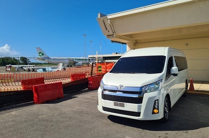 Private Transportation from Puerto Plata Airport to Hotels - Accessibility, Animals, and Group Practicalities