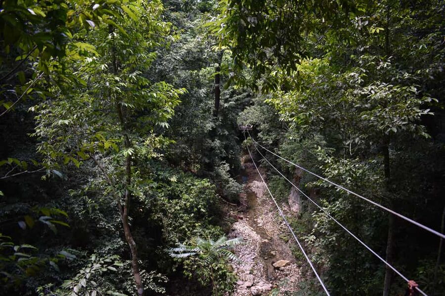 Puerto Plata/Amber Cove: Zipline and Waterfalls with Lunch - From Amber Cove to the rainforest: timing and transfers