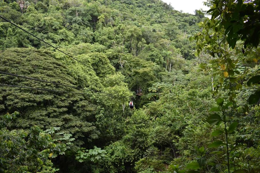 Puerto Plata/Amber Cove: Zipline and Waterfalls with Lunch - Who this tour suits: families, active travelers, and height-sensitive guests