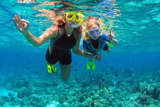Puerto Plata Catamaran Cruise with Snorkeling, BBQ & Open Bar - The Snorkeling Stop: Beginner-Friendly, But Conditions Vary